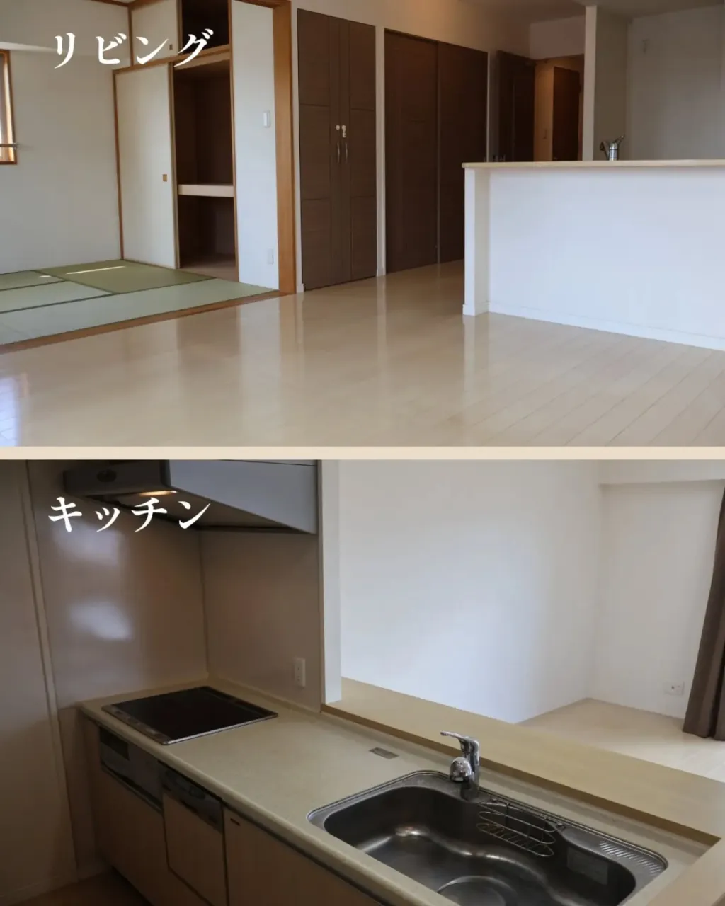 🏠 城址公園近く|ペットと暮らせる角部屋4LDKマンション